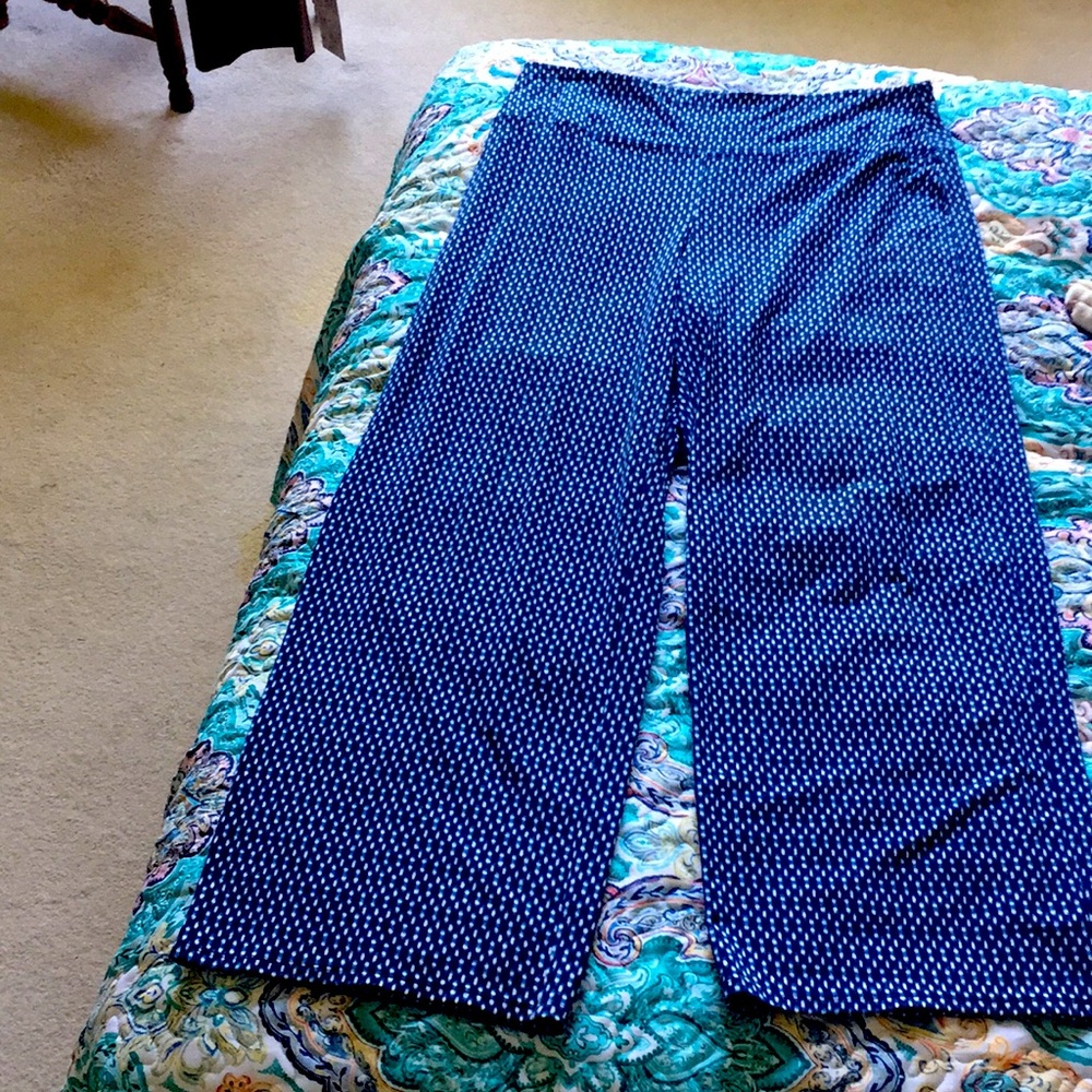 JJill wearever pants